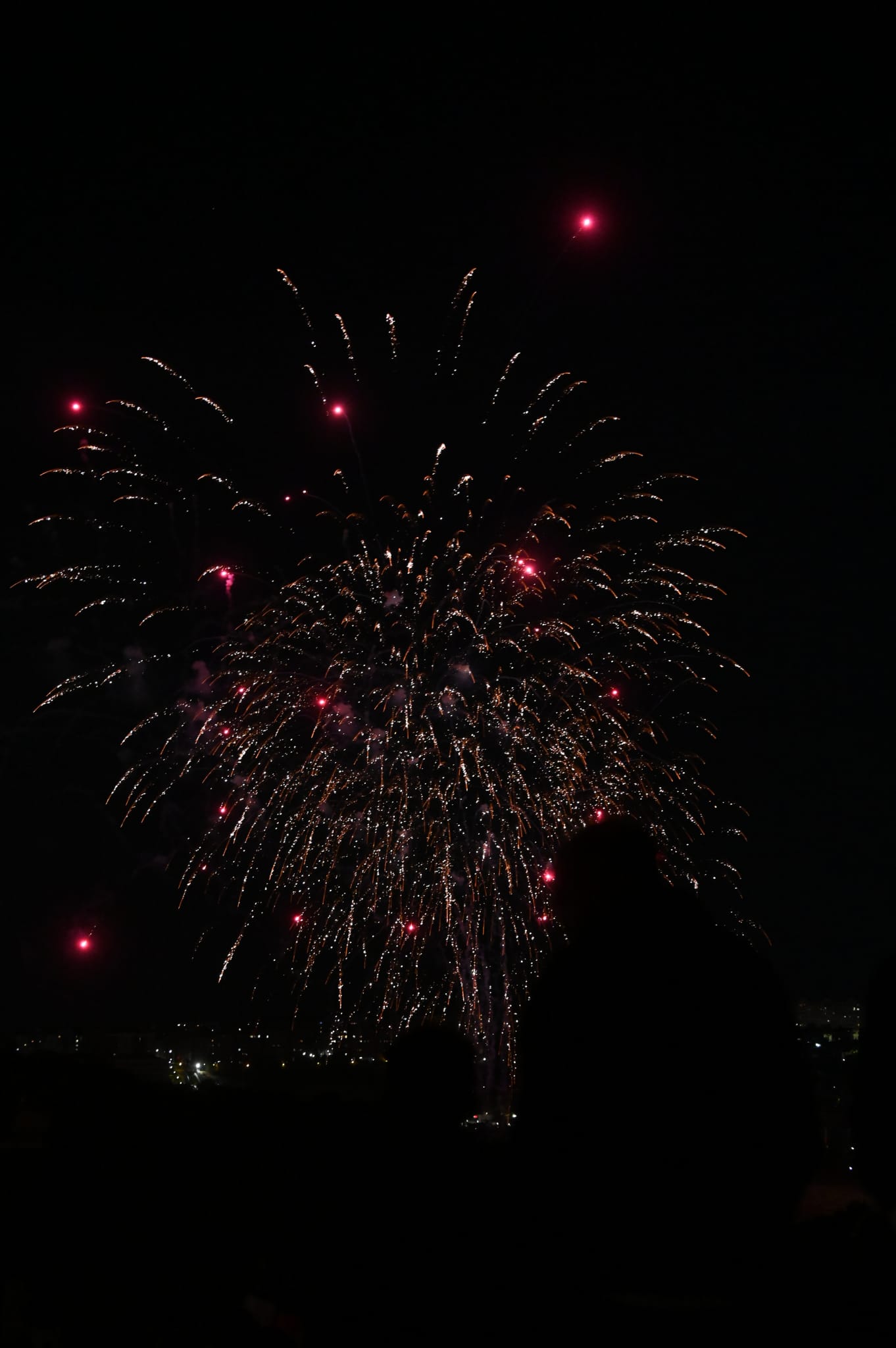 Fotos: Los fuegos artificiales del miécoles, en imágenes