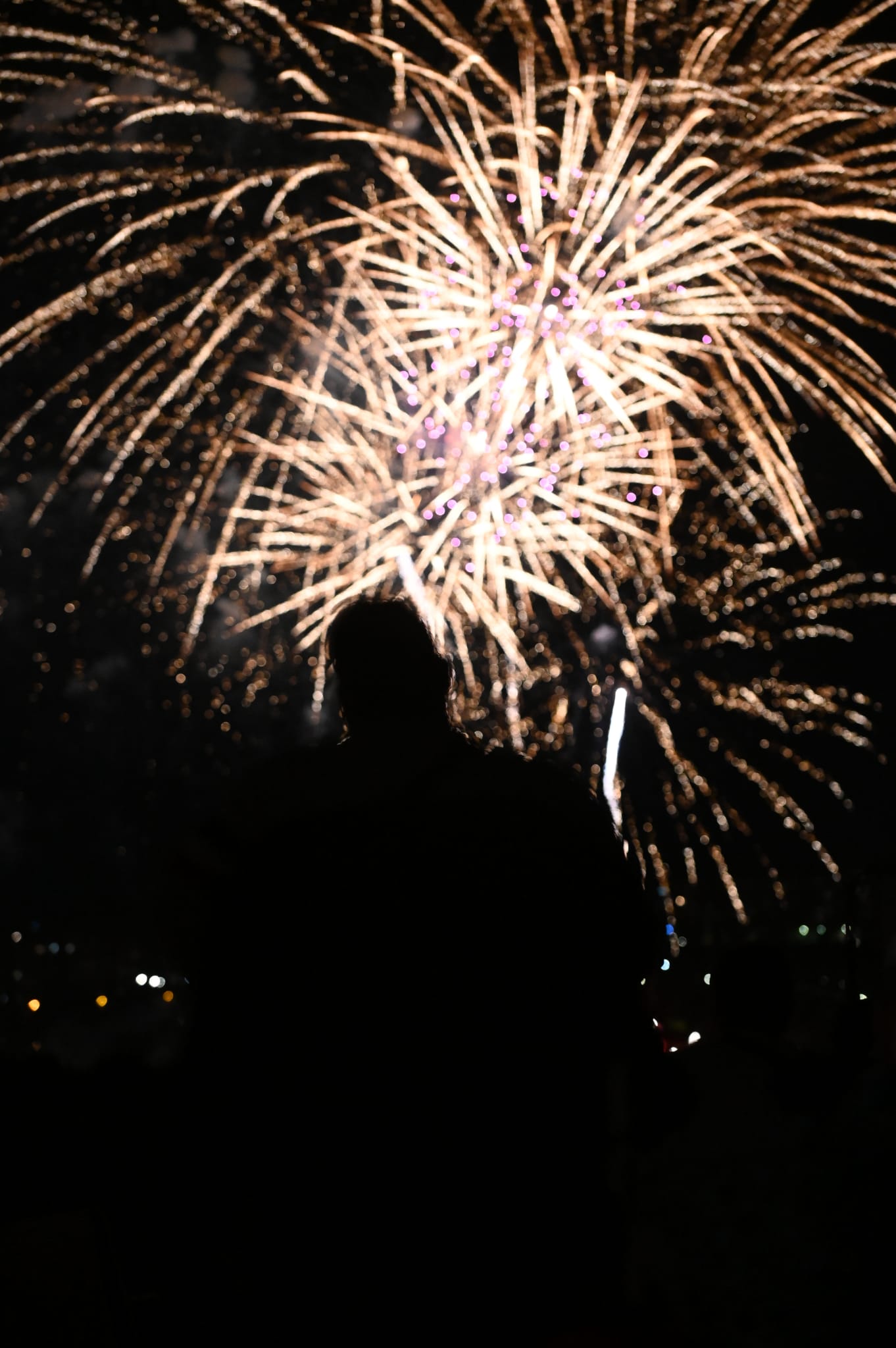 Fotos: Los fuegos artificiales del miécoles, en imágenes