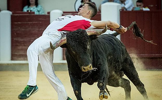 Ajustado corte de 'Misu', ganador de la Liga del Corte Puro. 
