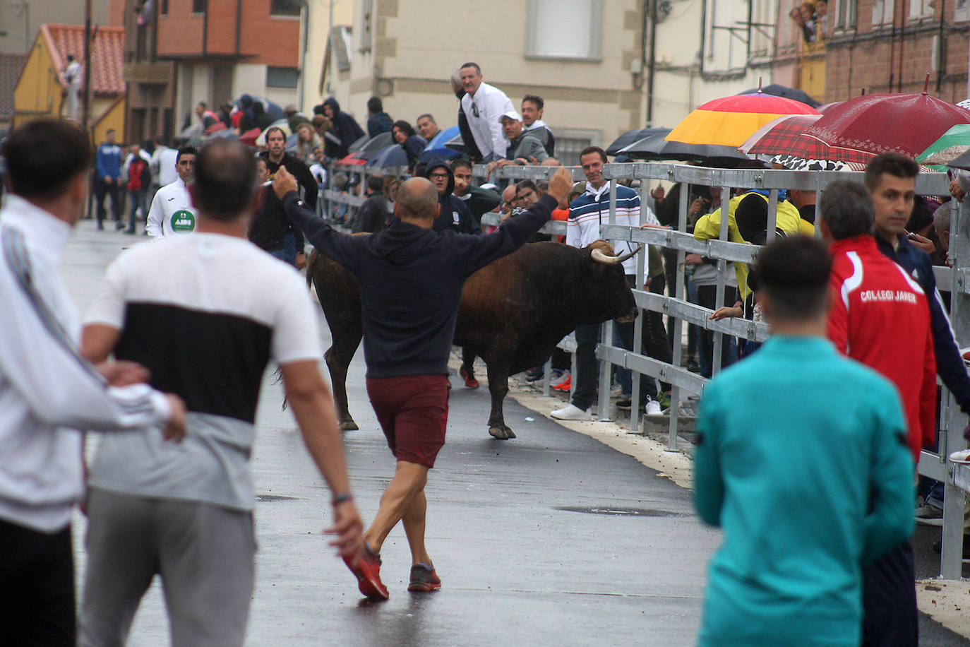 Fotos: Último encierro de las fiestas de San Antolín de Medina del Campo, en imágenes