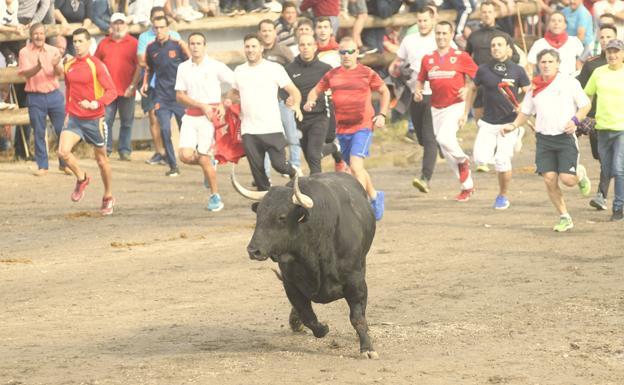 El Gobierno acude a la Fiscalía para que no se celebre el Toro de la Vega