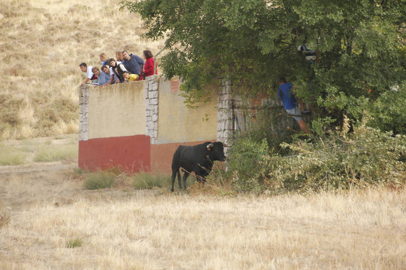 Fotos: Encierro mixto en Portillo (2/2)