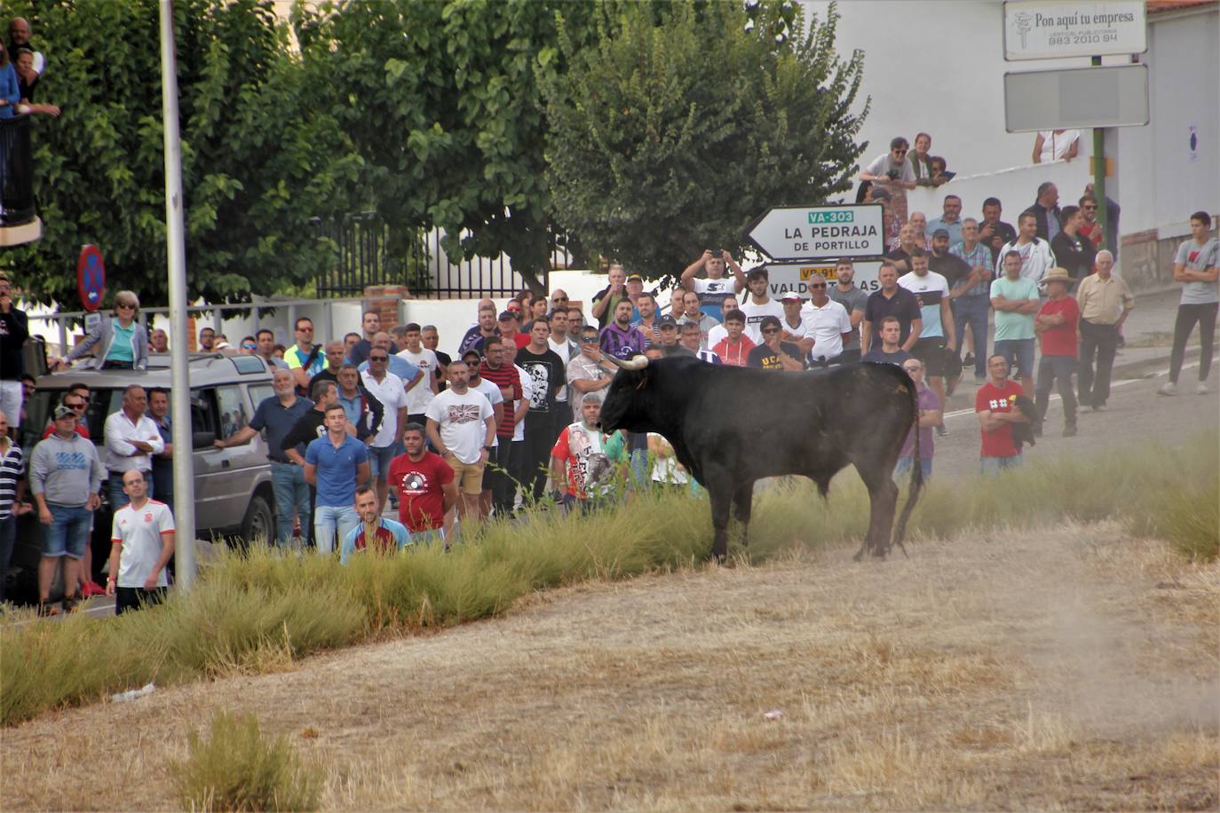 Fotos: Encierro mixto en Portillo (2/2)