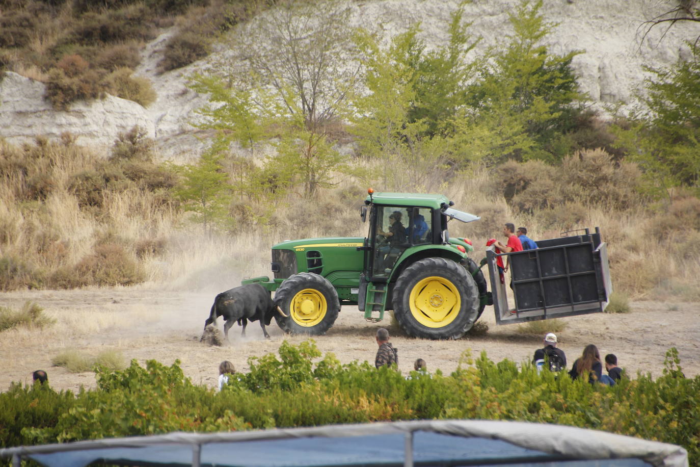 Fotos: Encierro mixto en Portillo (2/2)