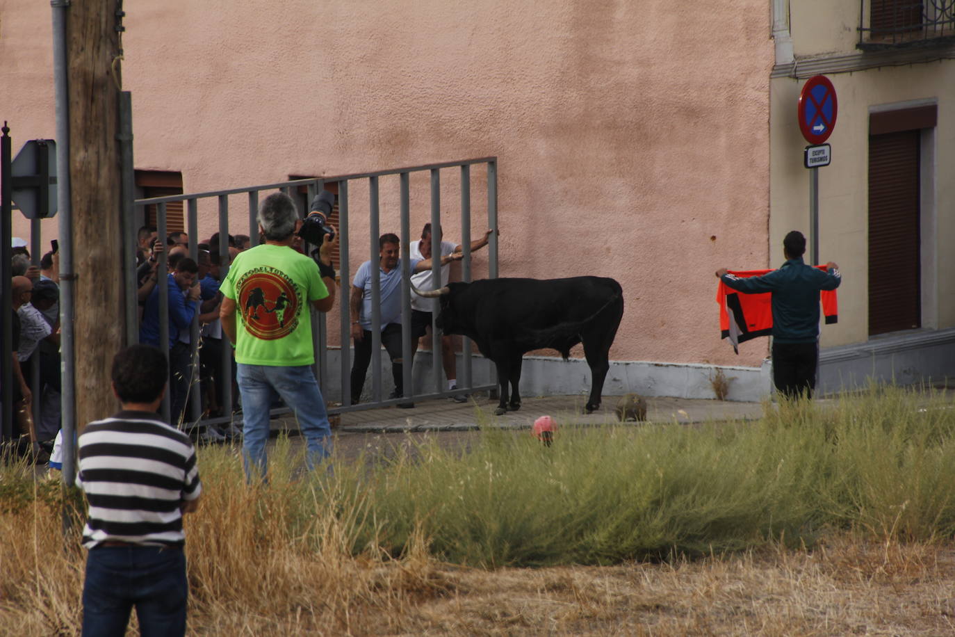 Fotos: Encierro mixto en Portillo (2/2)