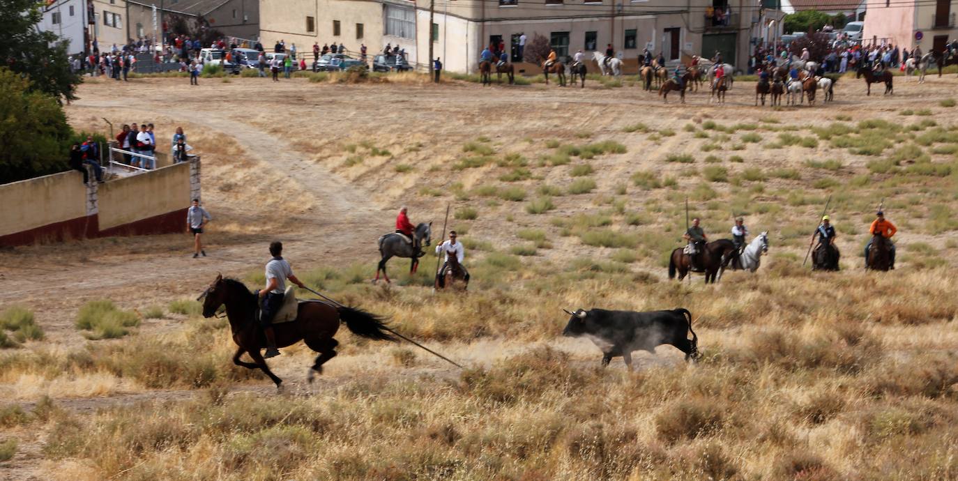 Fotos: Encierro mixto en Portillo (2/2)