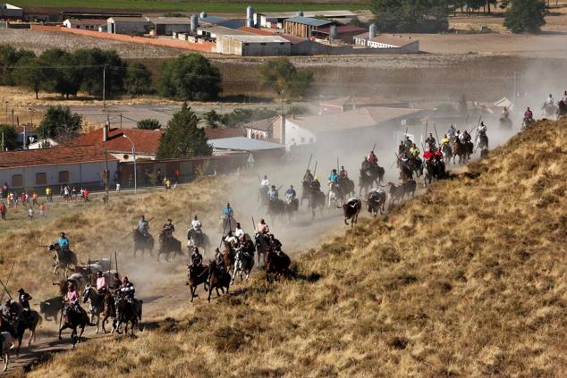 Fotos: Encierro mixto campo a través en las fiestas patronales de Portillo