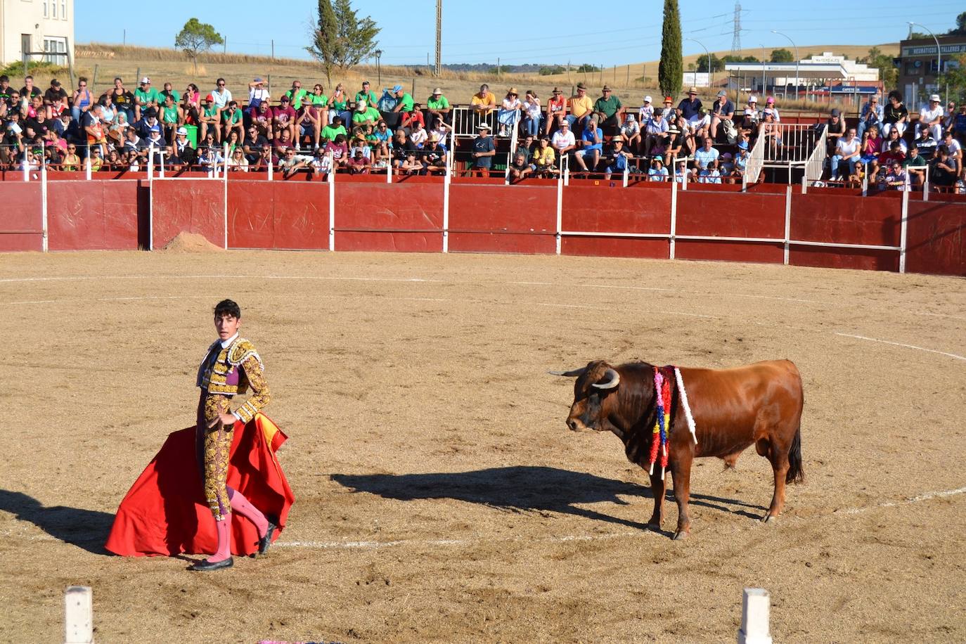 Fotos: Animadas fiestas de la Santa Cruz en Astudillo