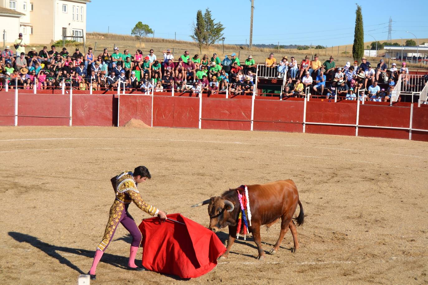 Fotos: Animadas fiestas de la Santa Cruz en Astudillo