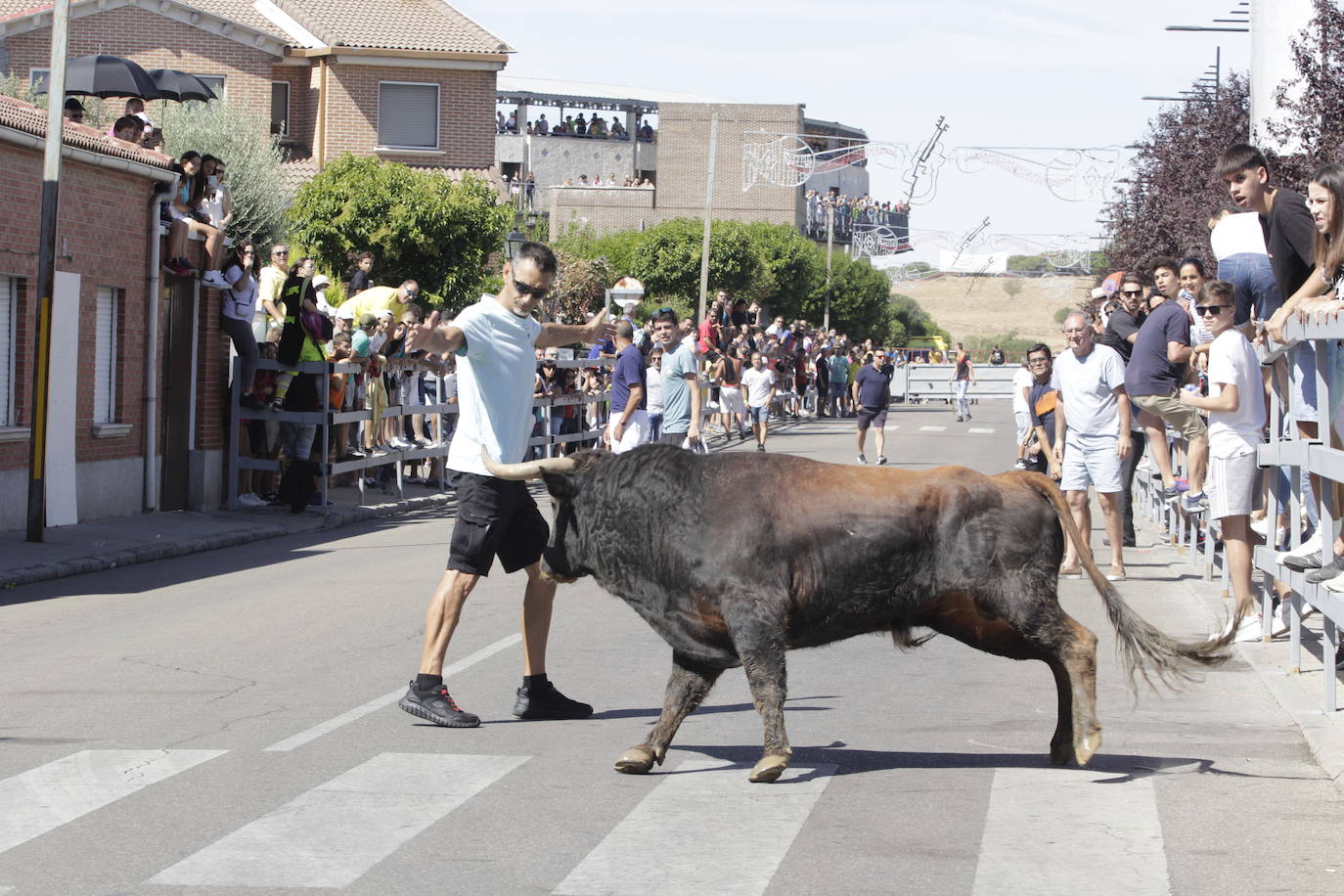 Fotos: Encierro y novillada en Laguna de Duero durante la jornada del domingo