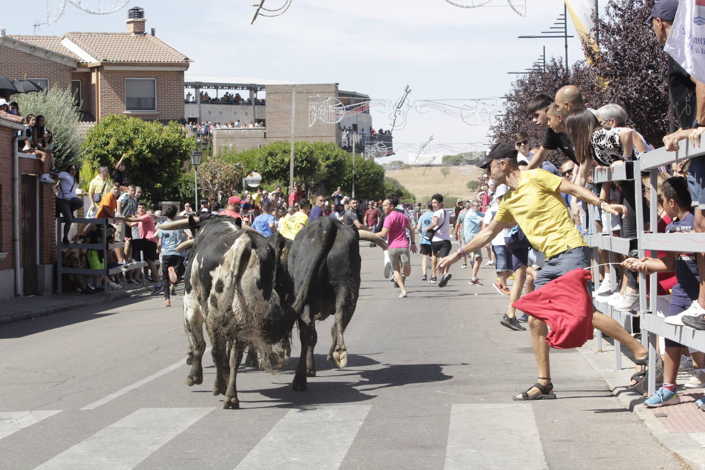 Fotos: Encierro y novillada en Laguna de Duero durante la jornada del domingo