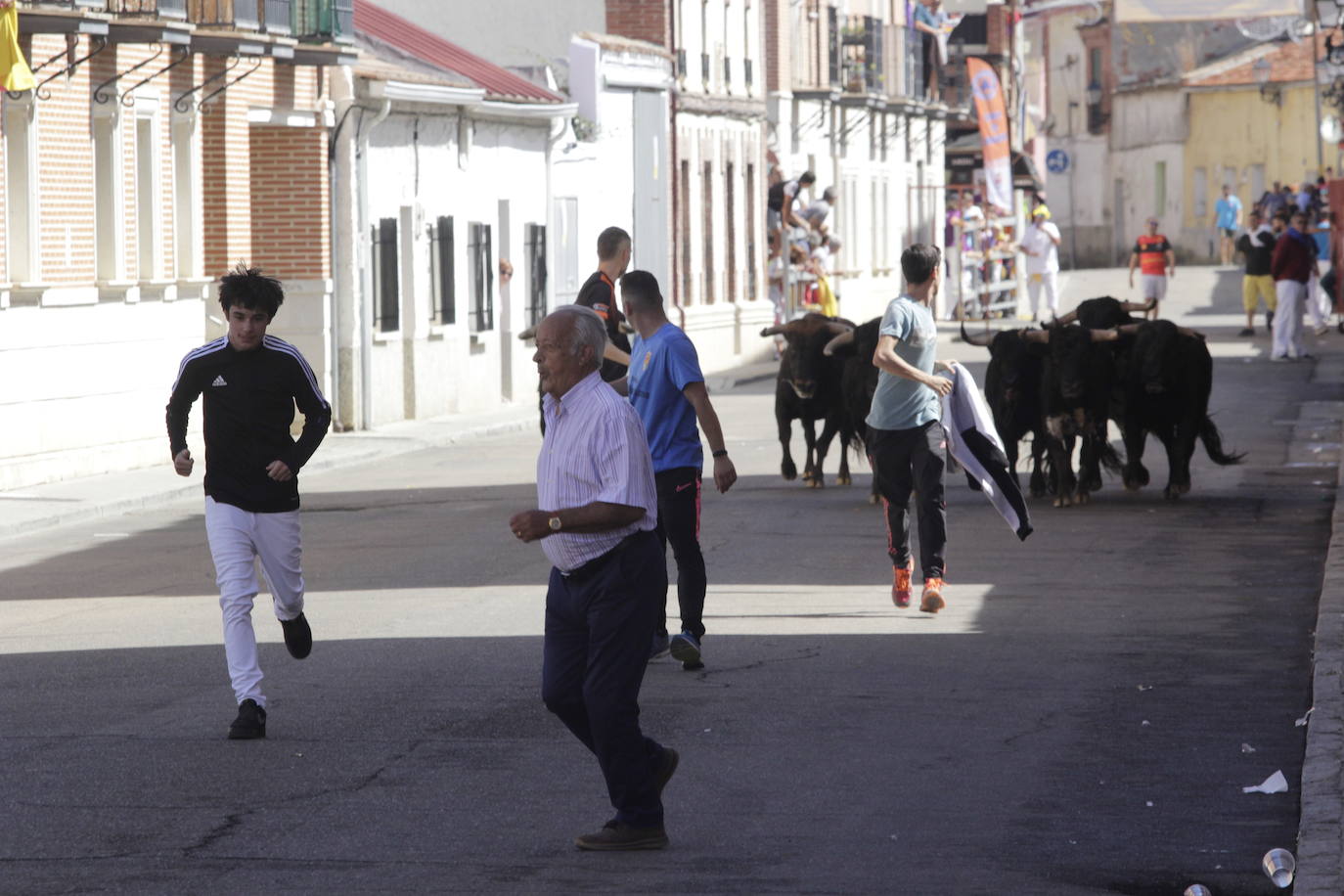 Fotos: Encierro y novillada en Laguna de Duero durante la jornada del domingo