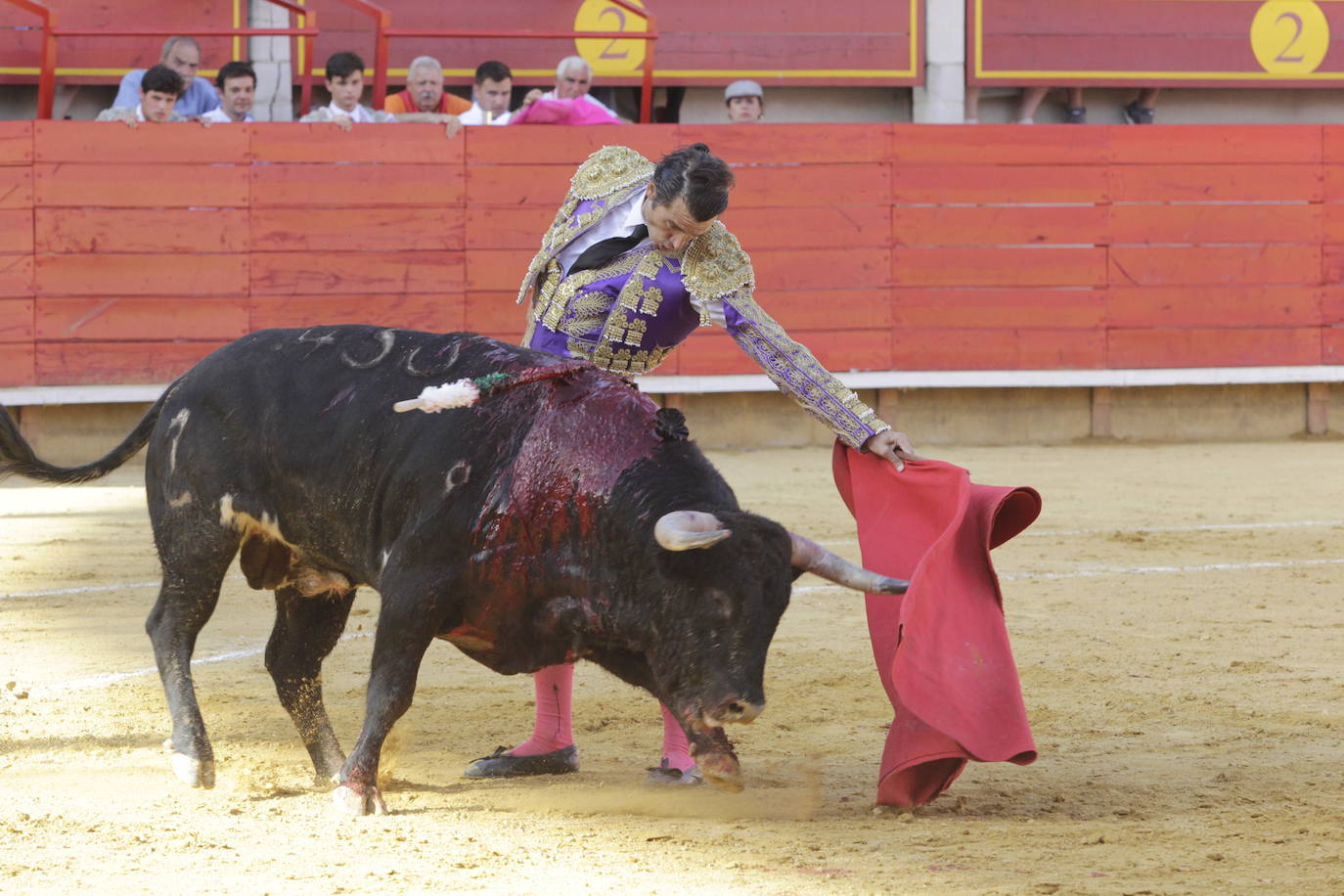 Fotos: Encierro y novillada en Laguna de Duero durante la jornada del domingo