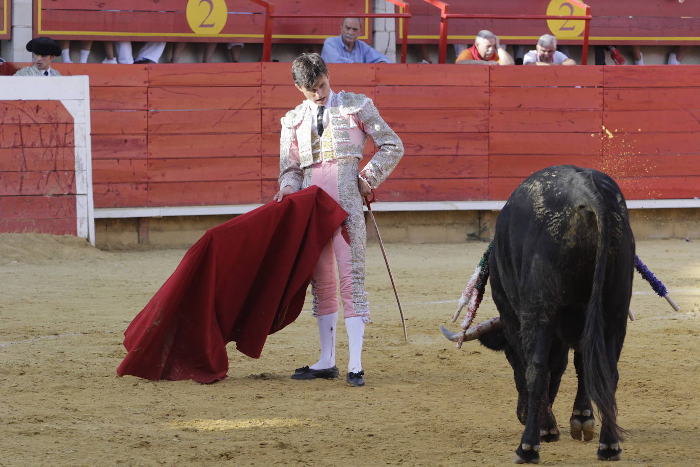 Fotos: Encierro y novillada en Laguna de Duero durante la jornada del domingo