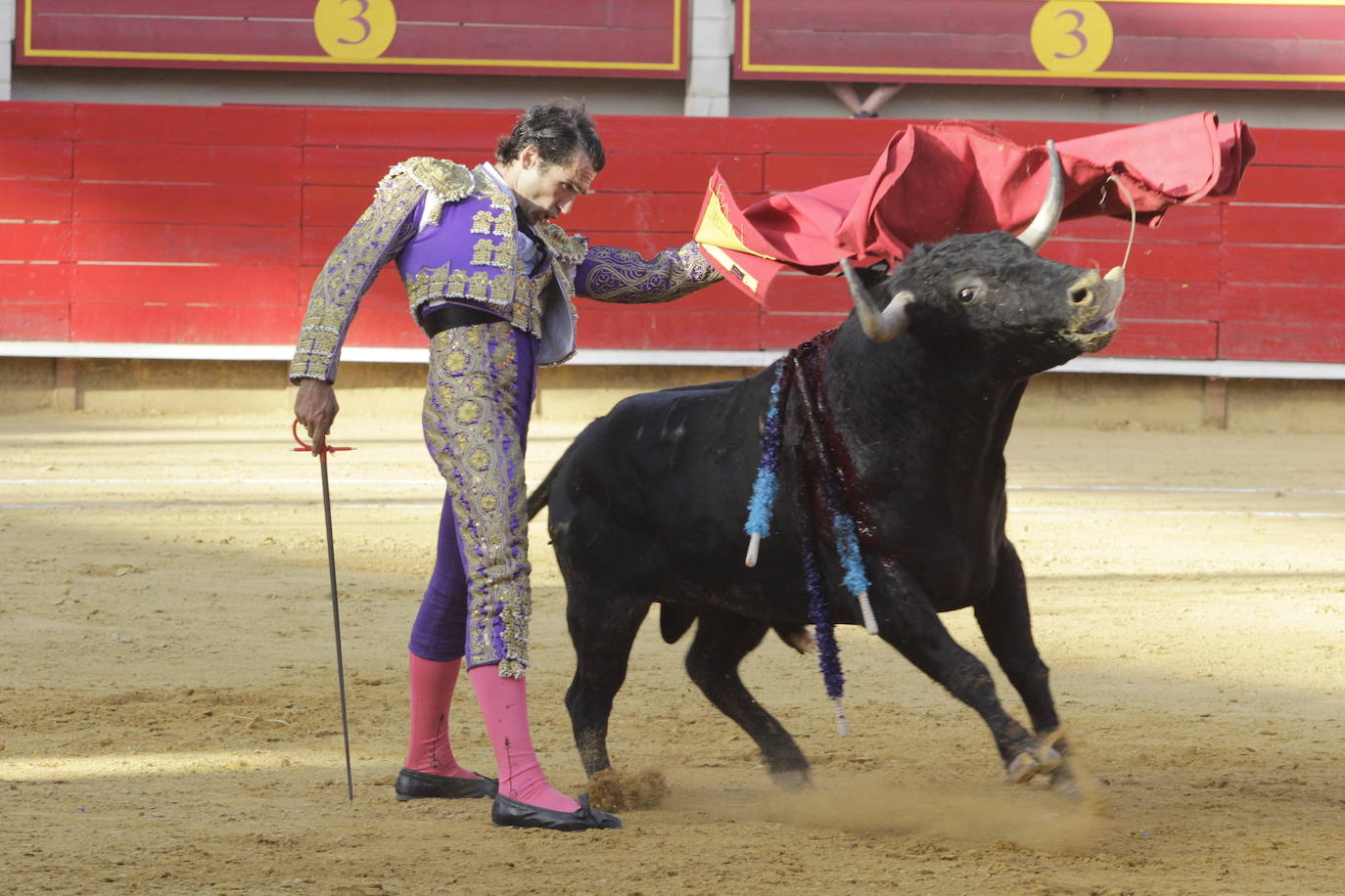 Fotos: Encierro y novillada en Laguna de Duero durante la jornada del domingo