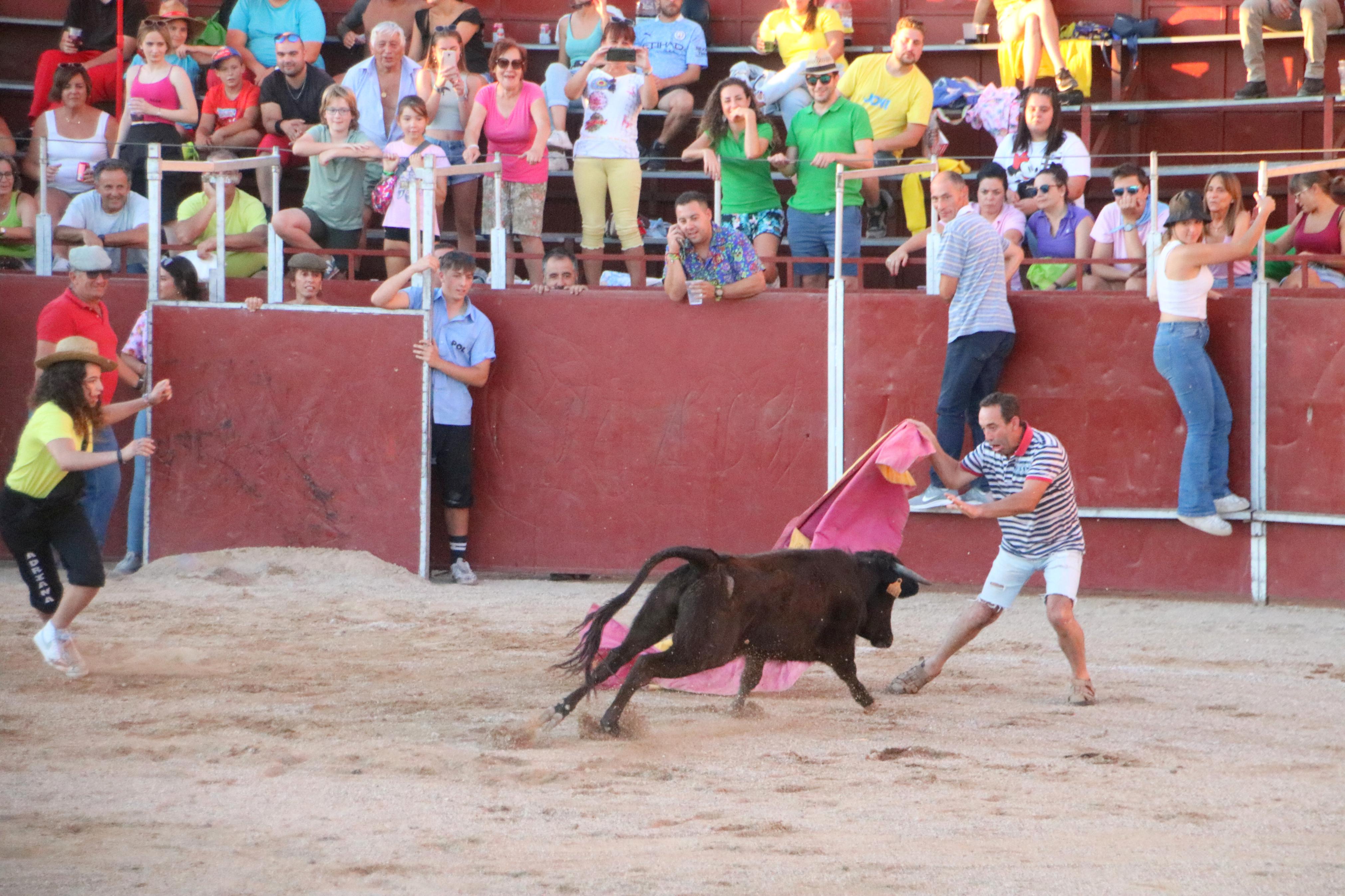 Baltanás celebra unos animados festejos taurinos con motivo de sus fiestas de la Virgen de Revilla