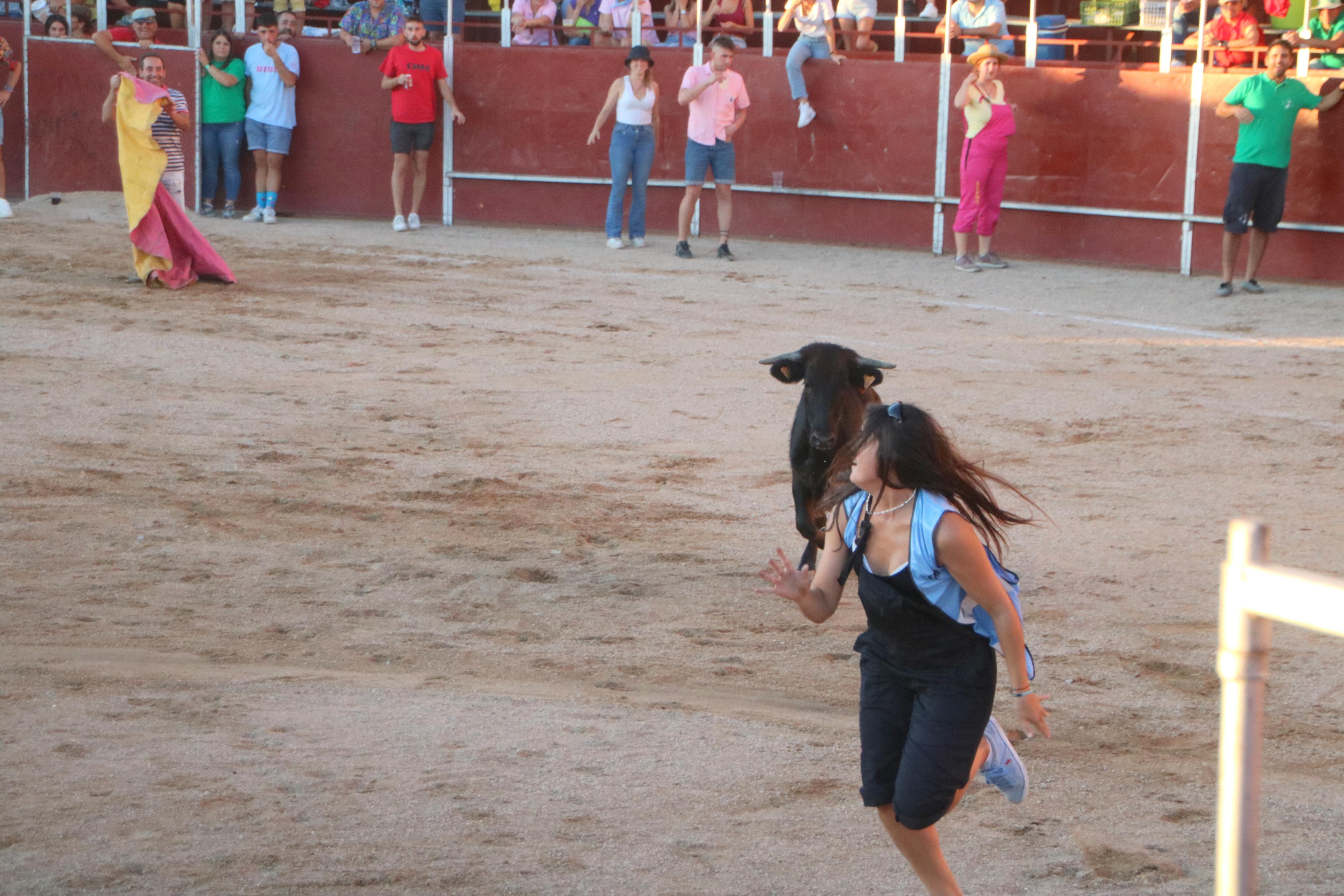 Baltanás celebra unos animados festejos taurinos con motivo de sus fiestas de la Virgen de Revilla