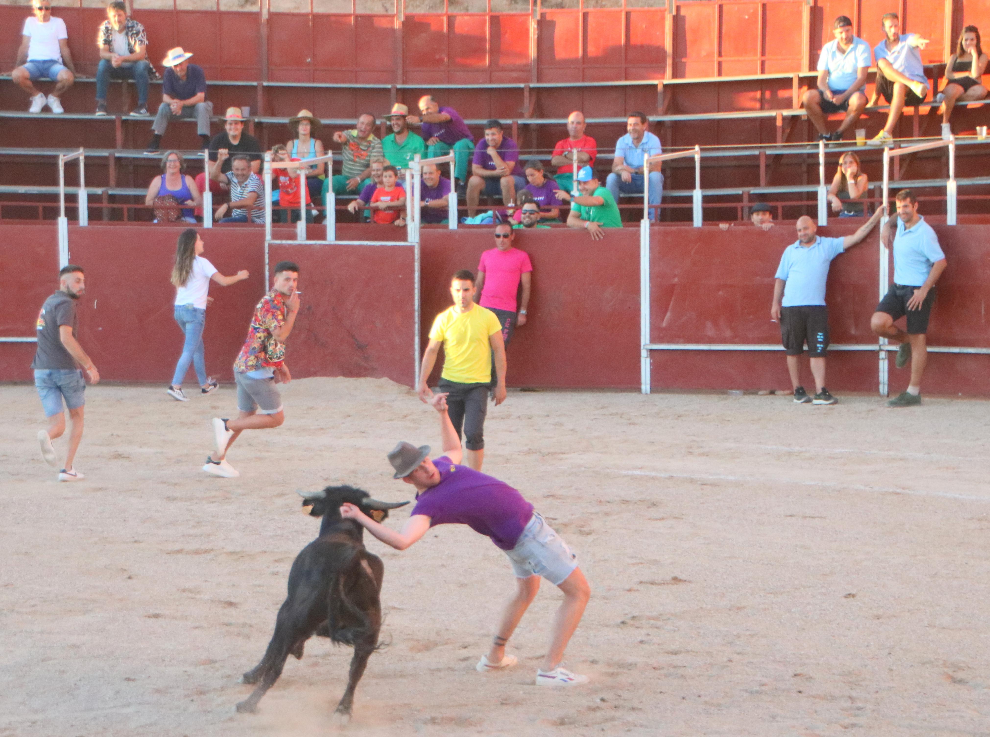 Baltanás celebra unos animados festejos taurinos con motivo de sus fiestas de la Virgen de Revilla