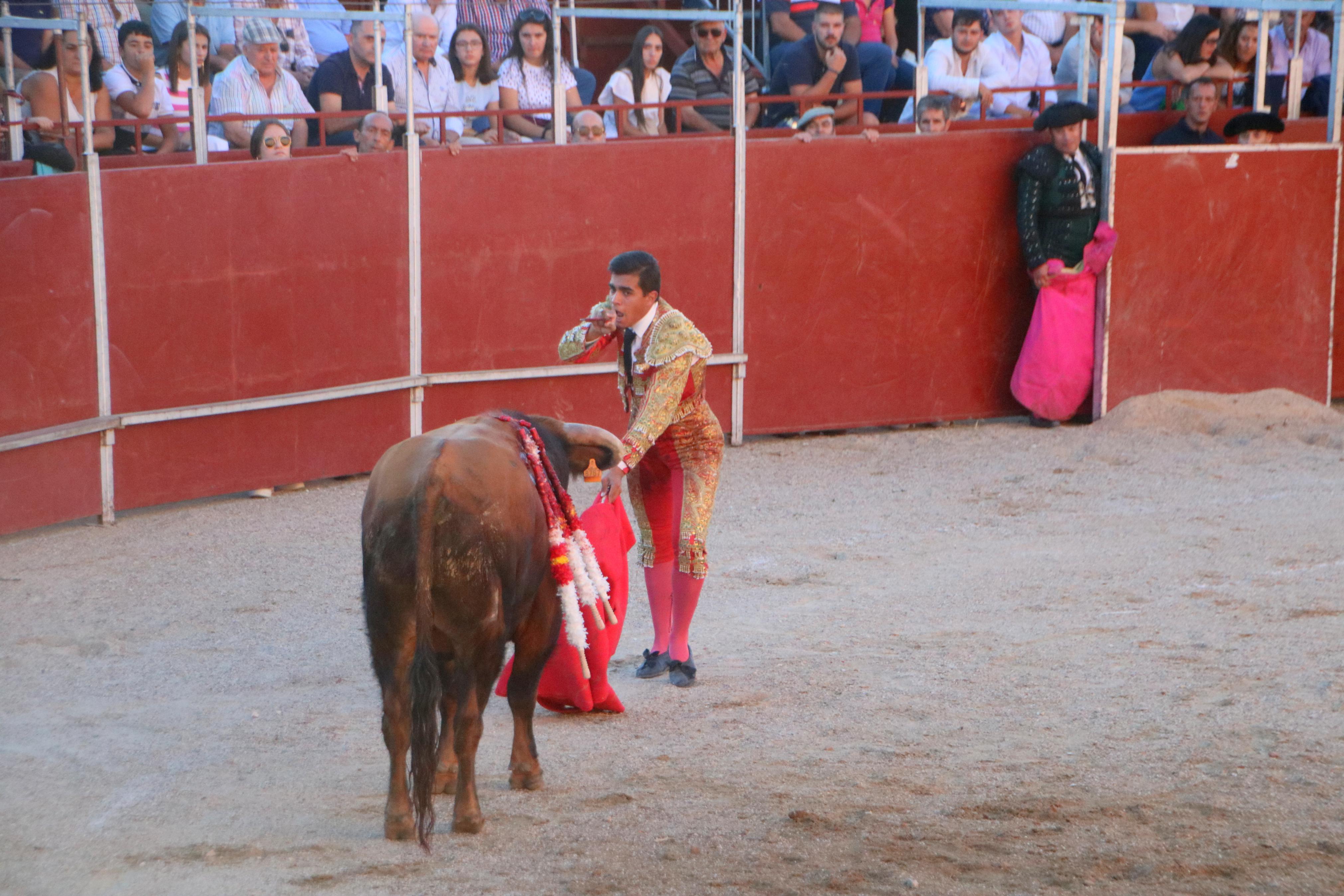 Baltanás celebra unos animados festejos taurinos con motivo de sus fiestas de la Virgen de Revilla