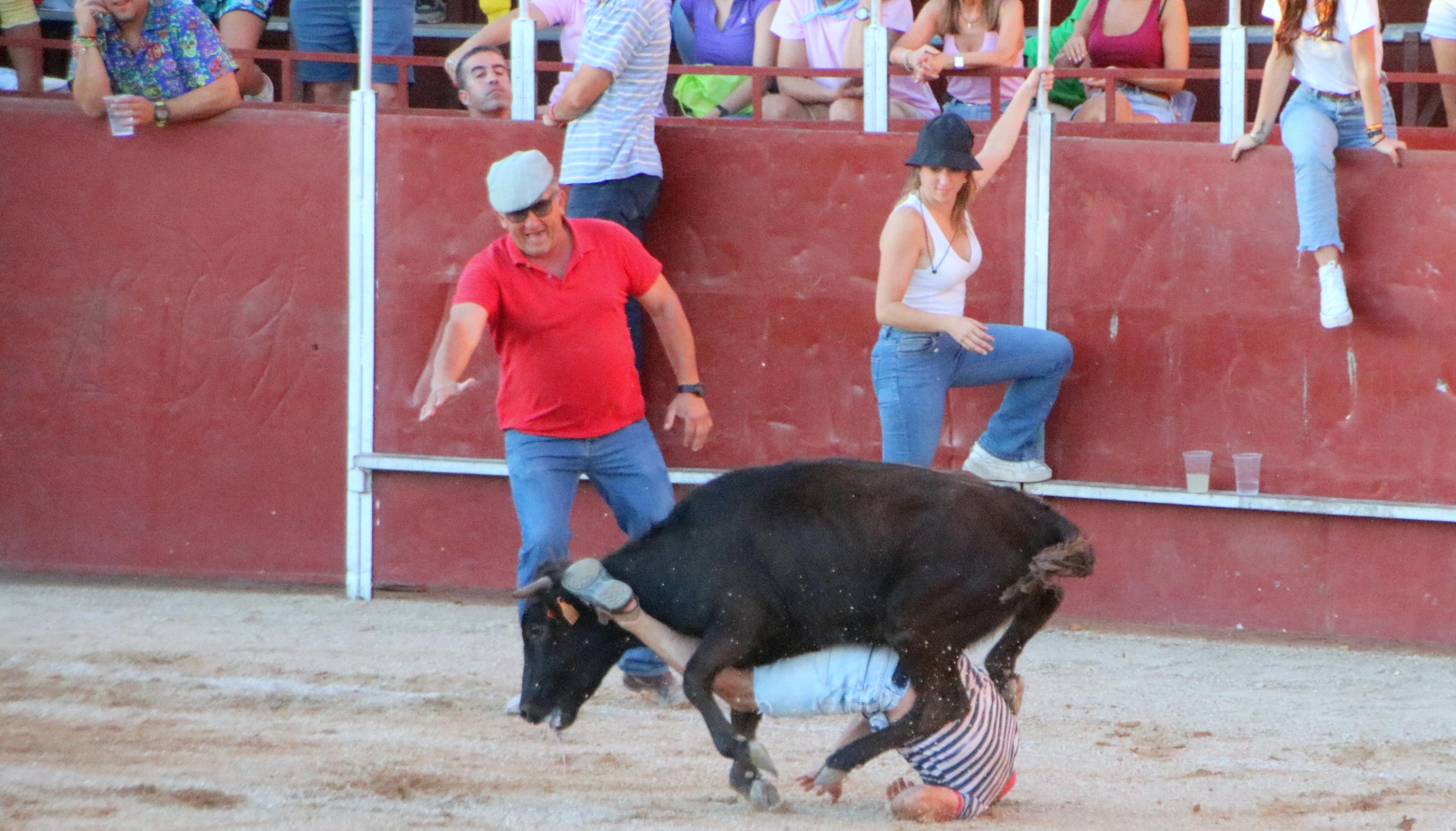 Baltanás celebra unos animados festejos taurinos con motivo de sus fiestas de la Virgen de Revilla