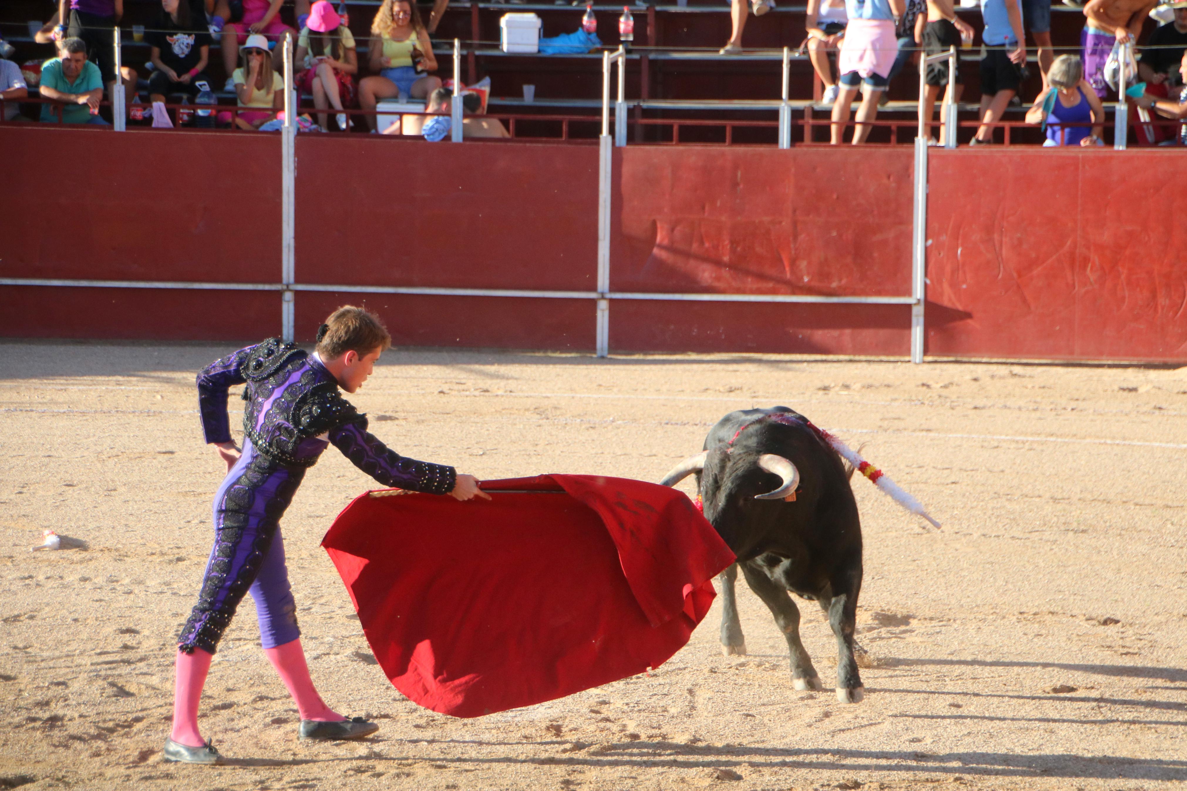 Baltanás celebra unos animados festejos taurinos con motivo de sus fiestas de la Virgen de Revilla