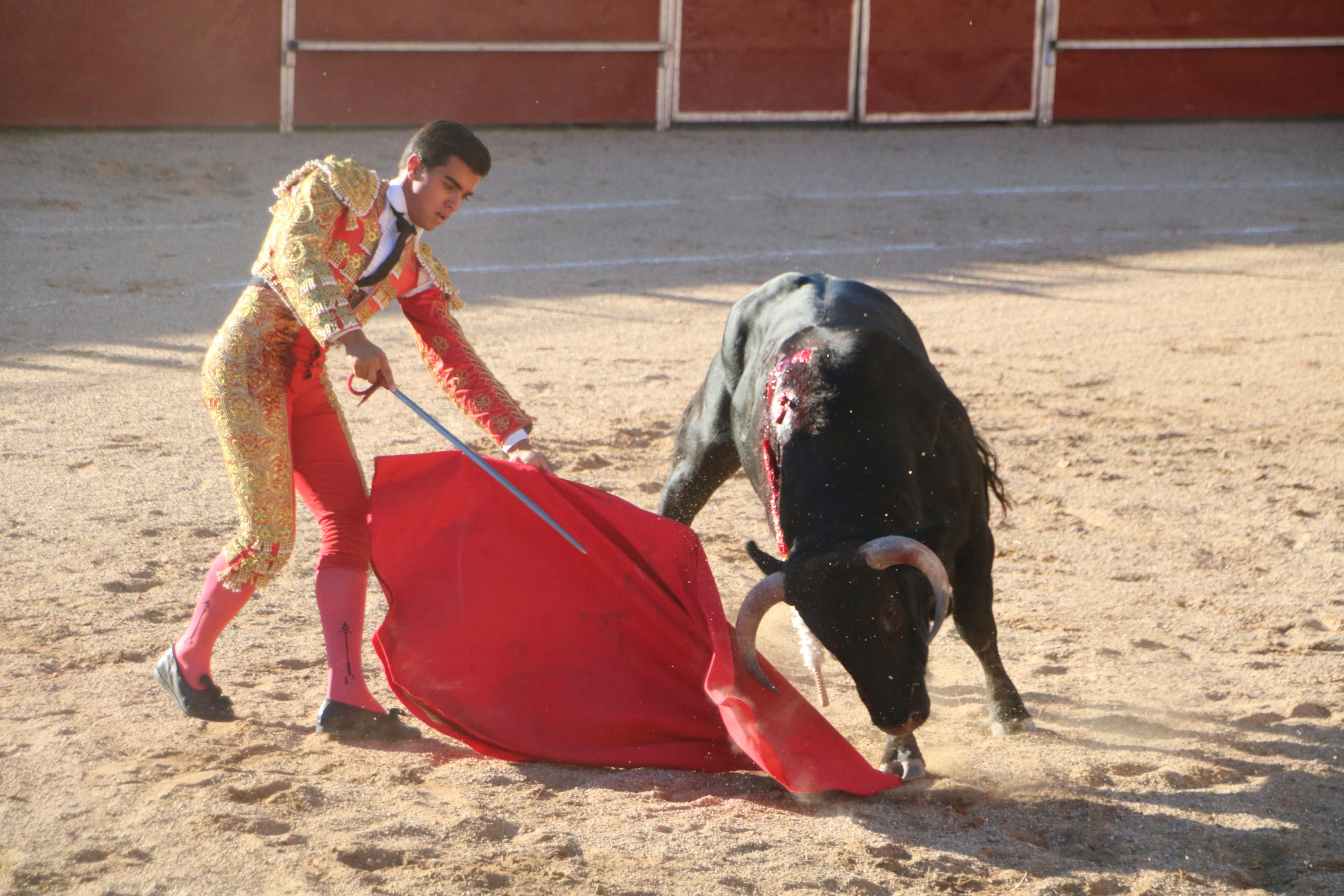 Baltanás celebra unos animados festejos taurinos con motivo de sus fiestas de la Virgen de Revilla