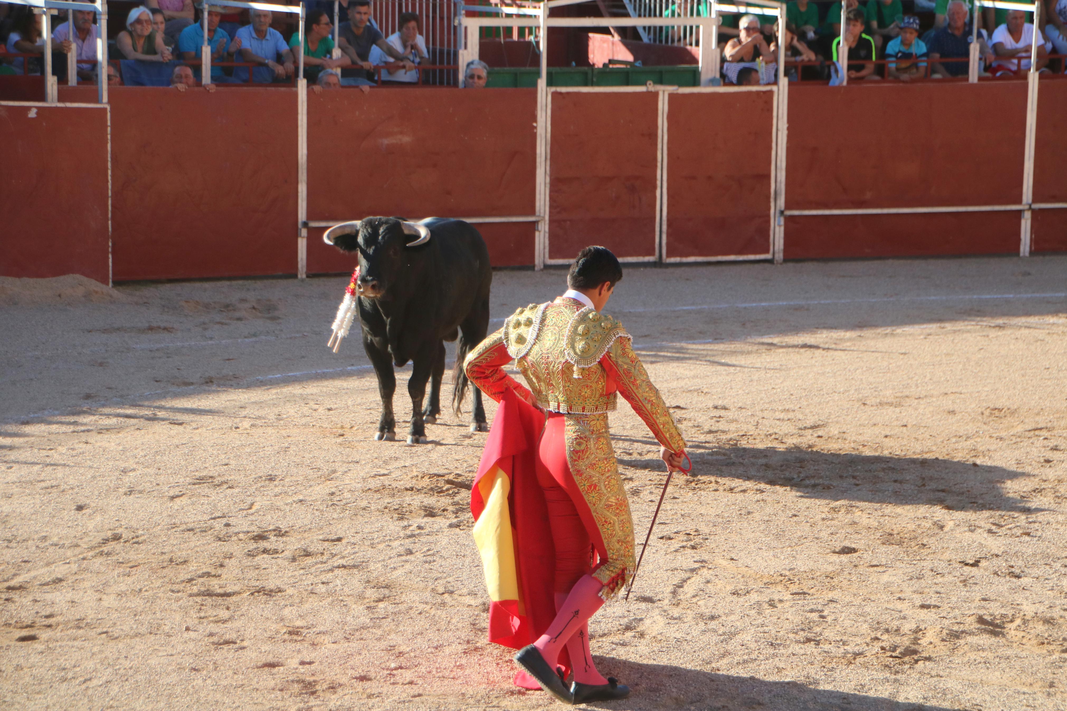 Baltanás celebra unos animados festejos taurinos con motivo de sus fiestas de la Virgen de Revilla