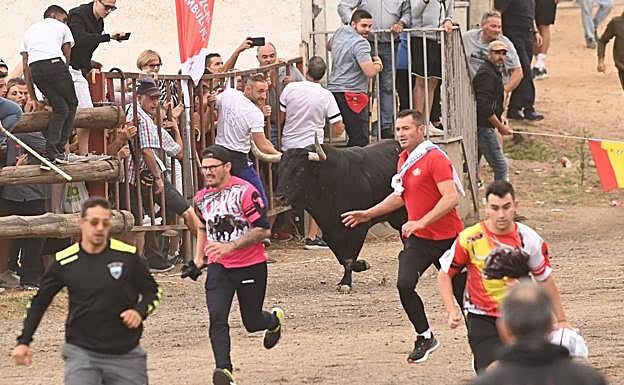 'Manjar', de 560 kilos, en un tramo del recorrido. 