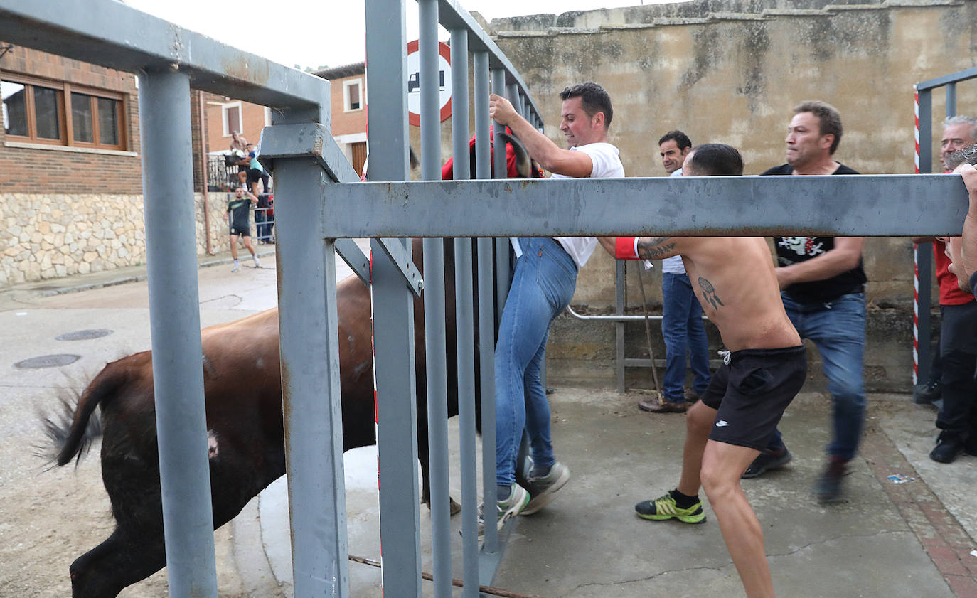 Fotos: Astudillo celebra el Toro del Pueblo