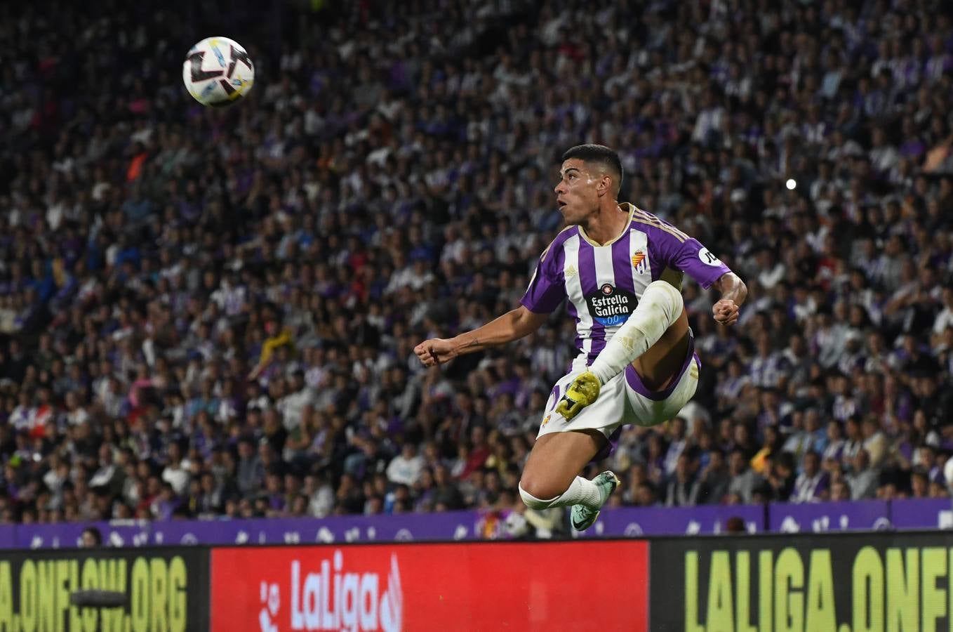 Fotos: Derrota del Real Valladolid ante el Cádiz (1/3)