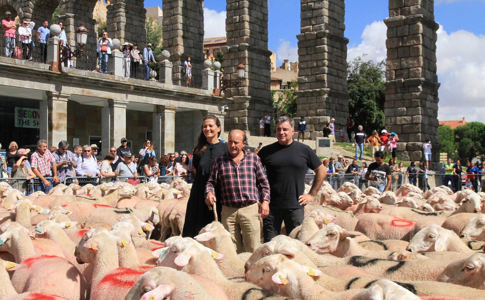 Kate Dauday, Rafael Montes y Konstantin Novoselov, en medio del rebaño.