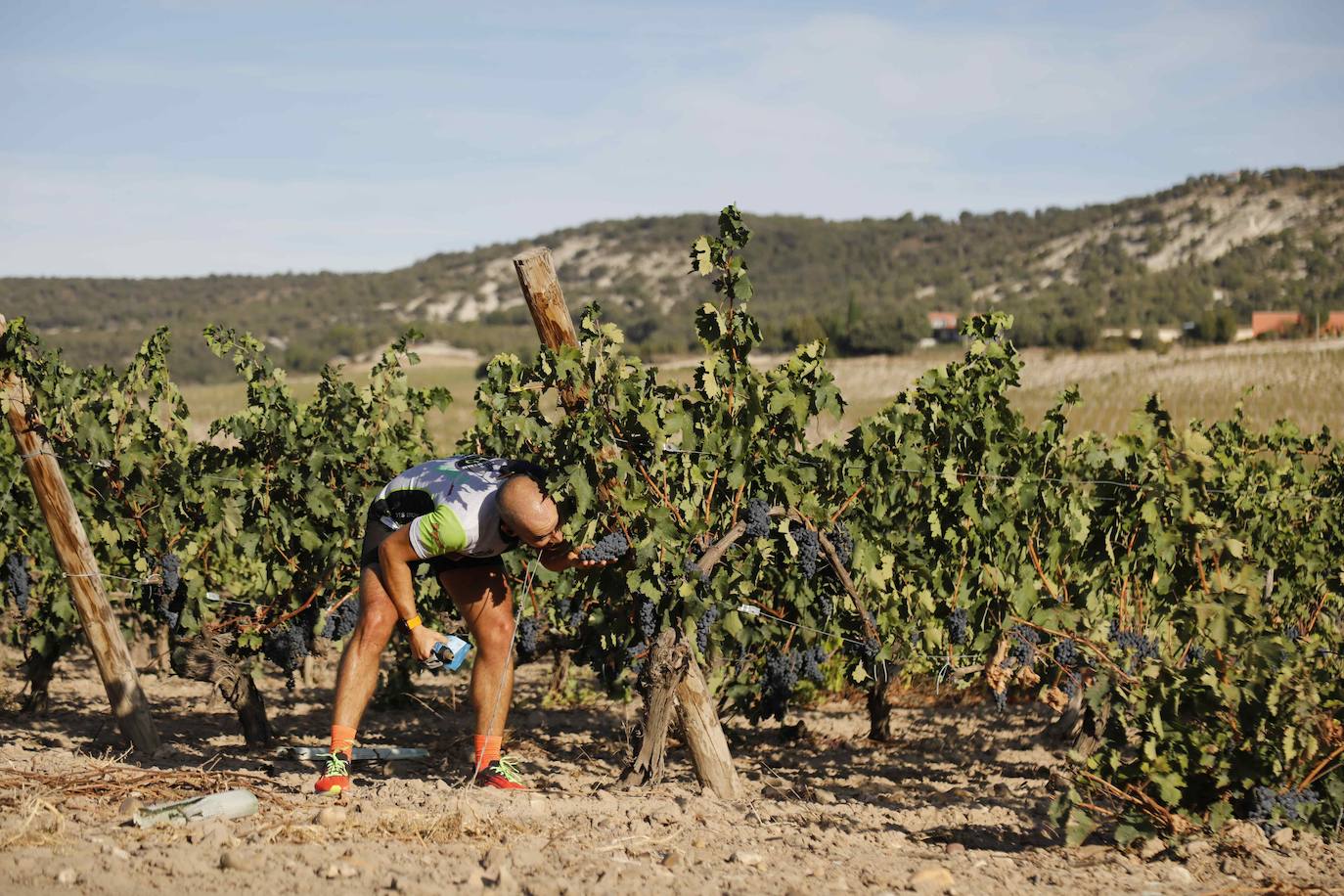 Fotos: Ribera Run Experience une deporte con historia, cultura y enoturismo en Peñafiel