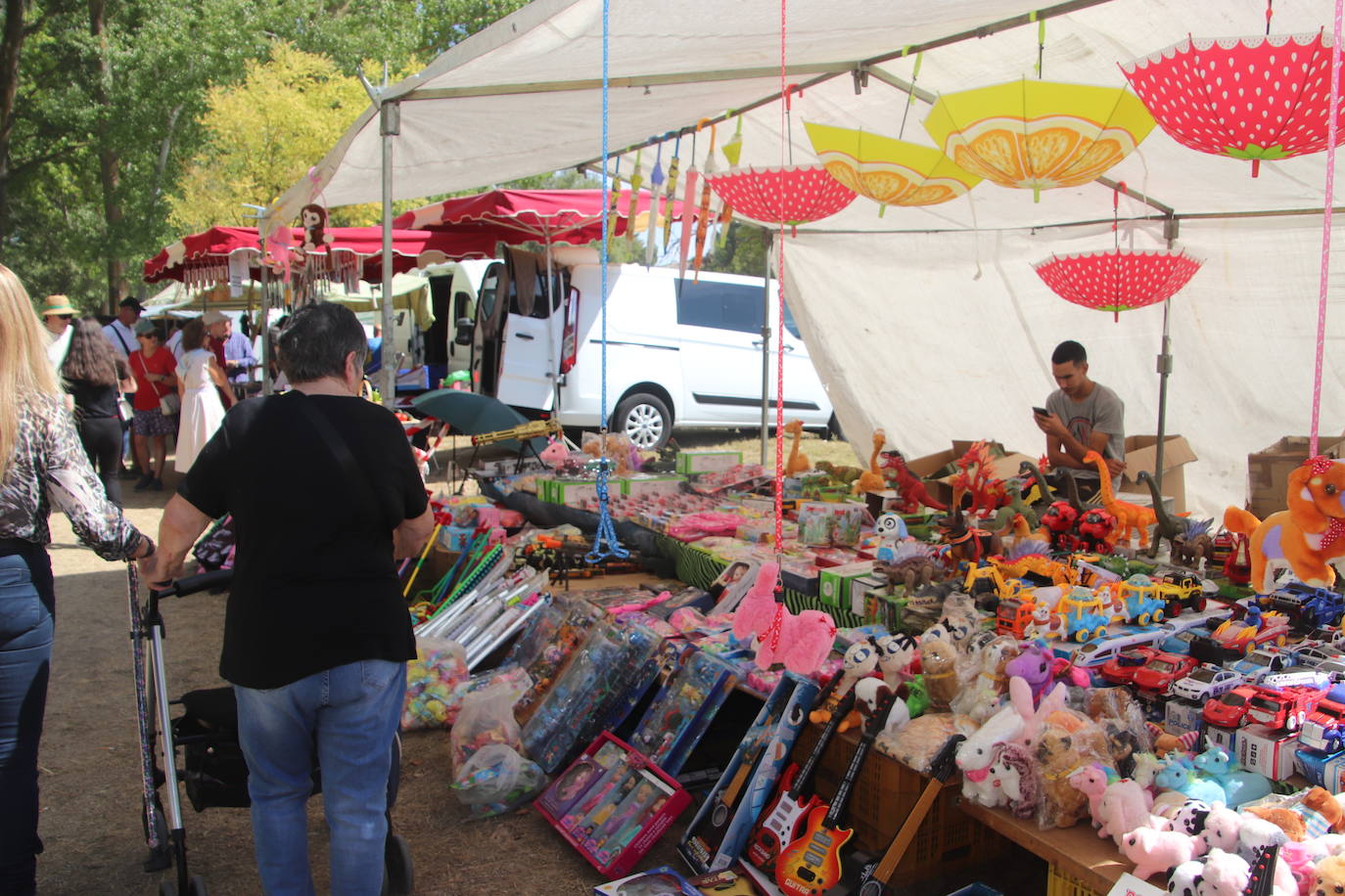 Miles de personas, este domingo en la romería de la Virgen del Henar.