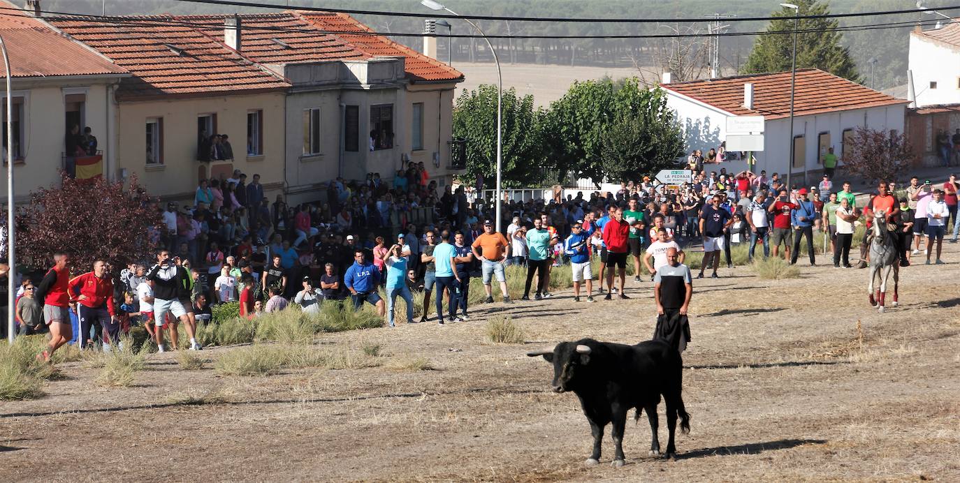 Fotos: Las fiestas de Portillo se despiden con el último encierro mixto