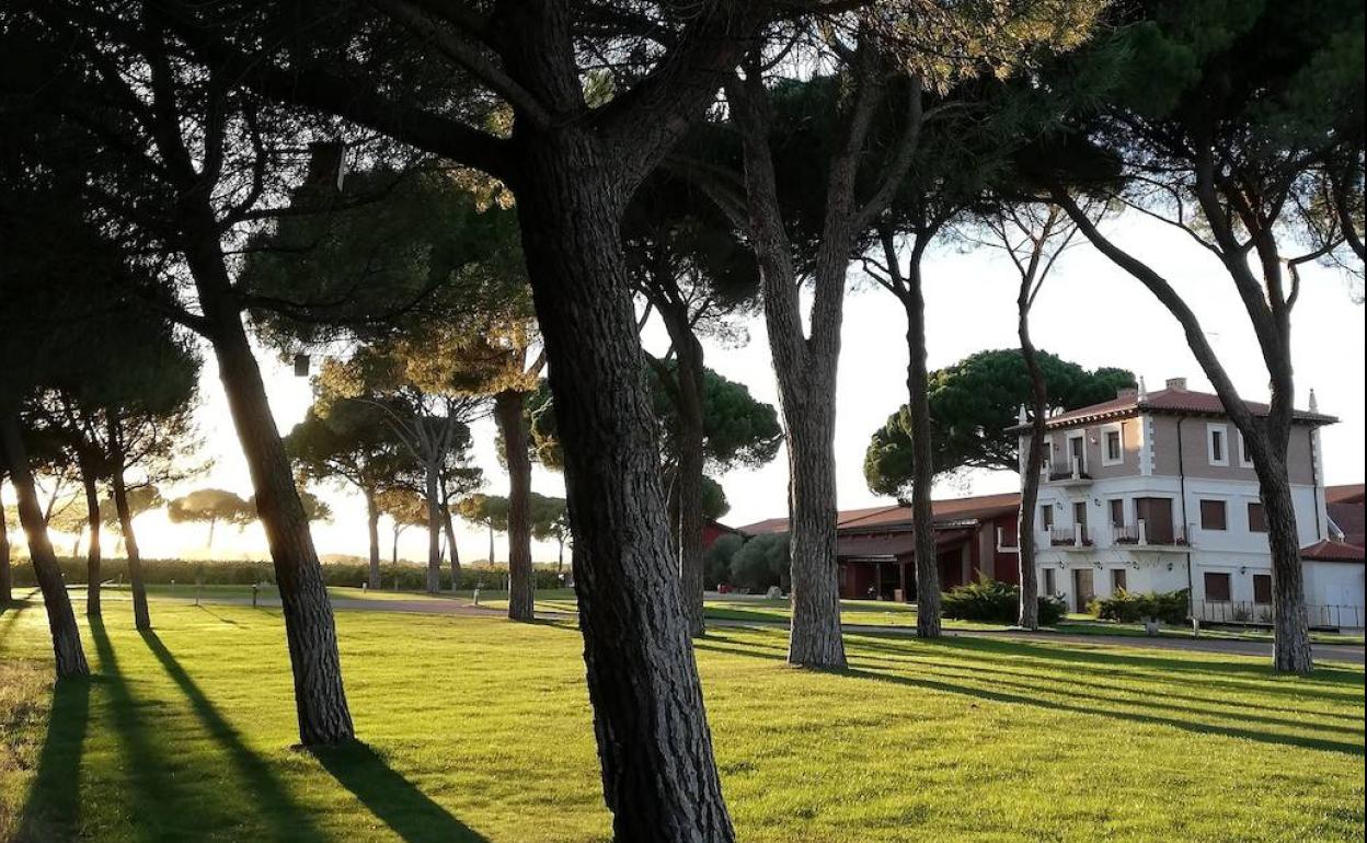 Vino y música al atardecer