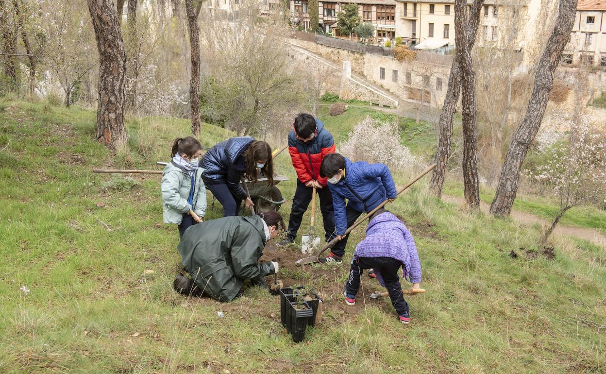 Escolares participan en la última plantación en el Pinarillo. 