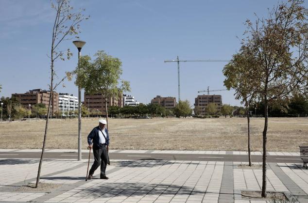 Fotos: Paisaje de grúas y excavadoras en el barrio de Viveros