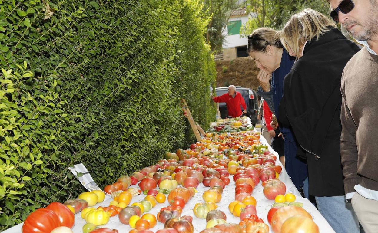 Feria Ibérica del Tomate.