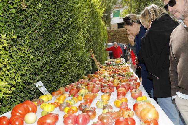 Fotos: Feria Ibérica del Tomate de Piñel de Abajo