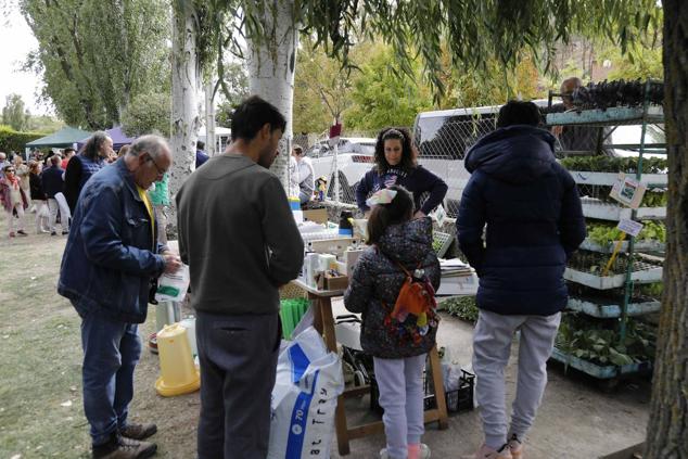 Fotos: Feria Ibérica del Tomate de Piñel de Abajo