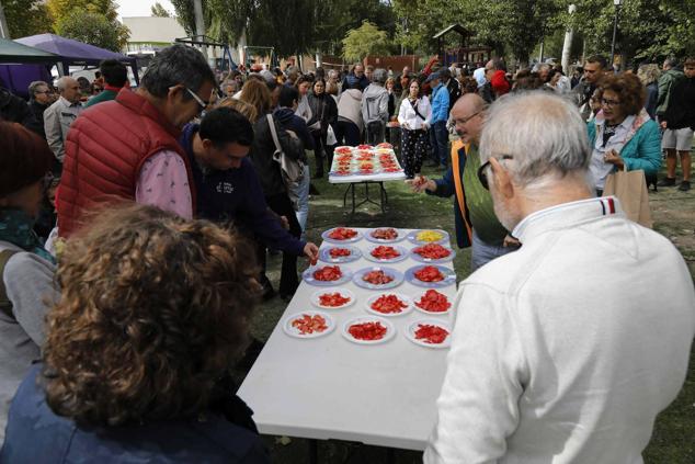 Fotos: Feria Ibérica del Tomate de Piñel de Abajo
