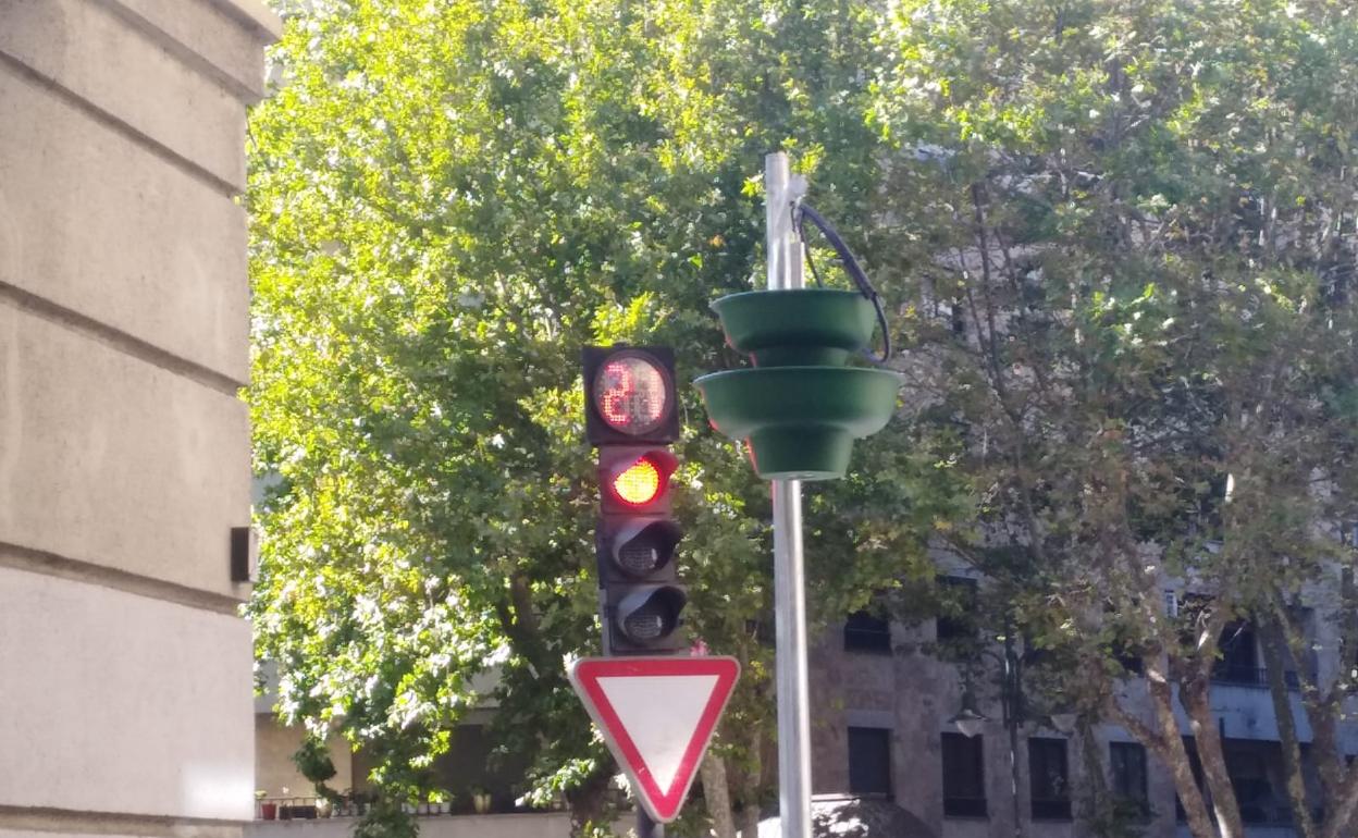 Una de las macetas instaladas para los jardines verticales de Álvaro Gil. 