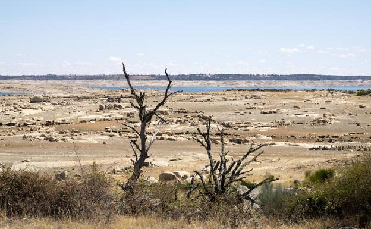 Estado del embalse de Almendra el pasado agosto. 