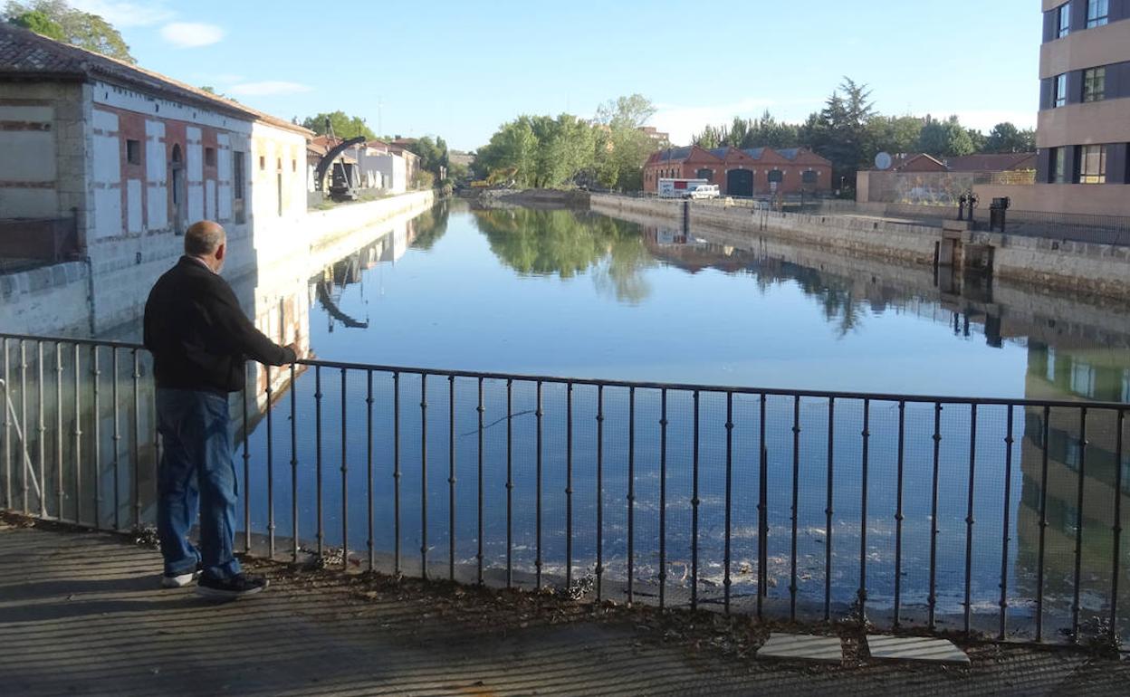 Un hombre observa la dársena del Canal de Castilla, llena de nuevo después de su rehabilitación. 