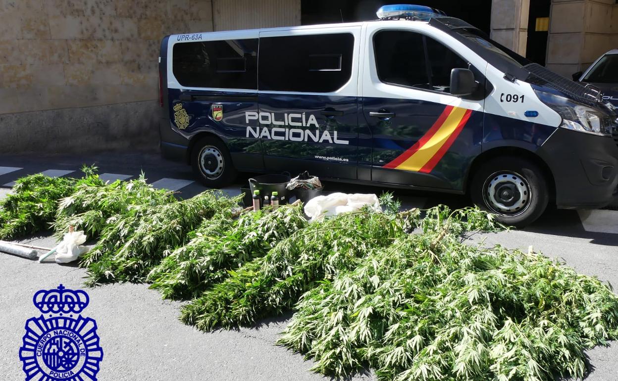 Droga incautada en la operación de la Policía.