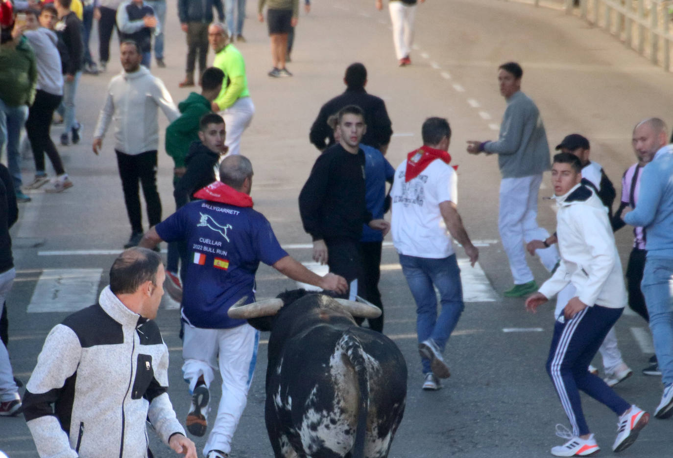 Encierro extraordinadio de San Miguel en Cuéllar. 