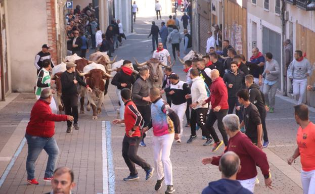 Solo cuatro toros completan el encierro extraordinario de San Miguel en Cuéllar