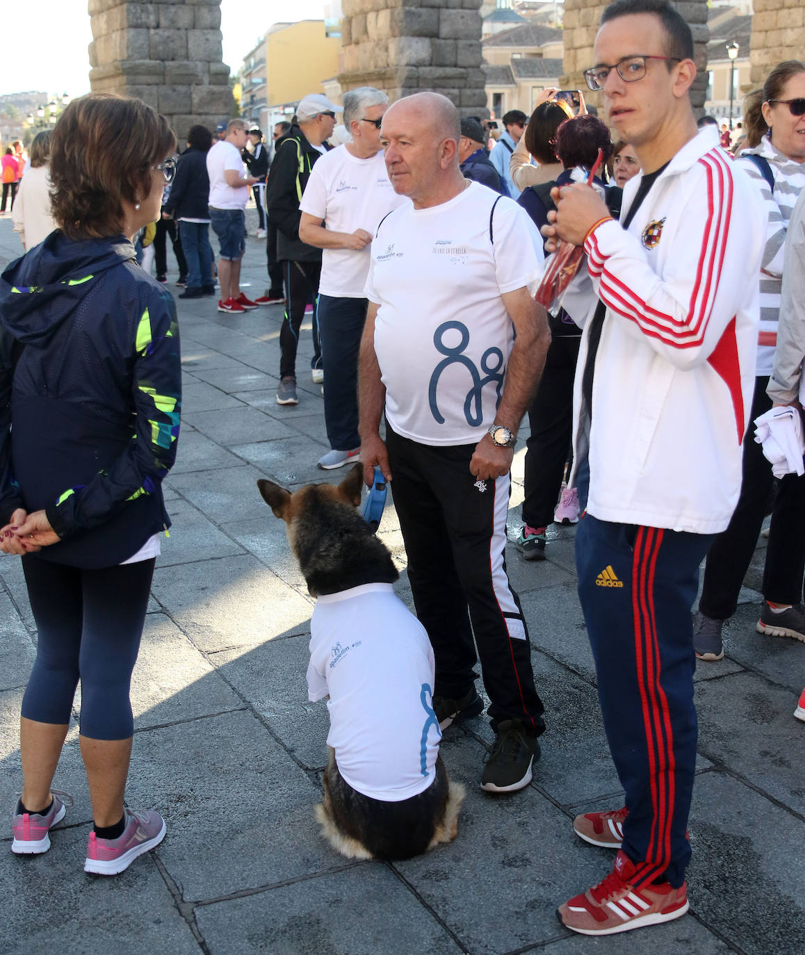 Marcha Apadefim en Segovia. 