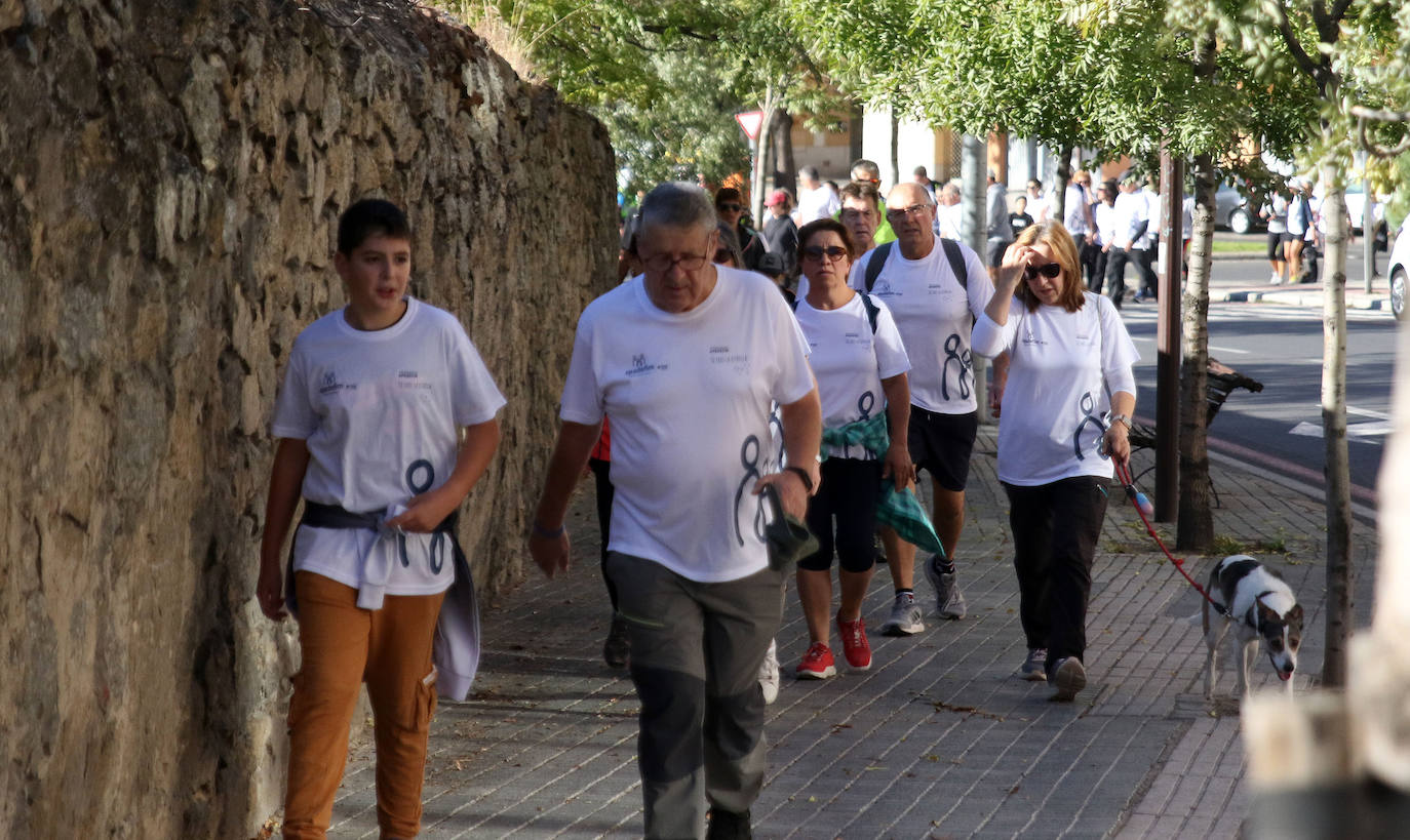 Marcha Apadefim en Segovia. 