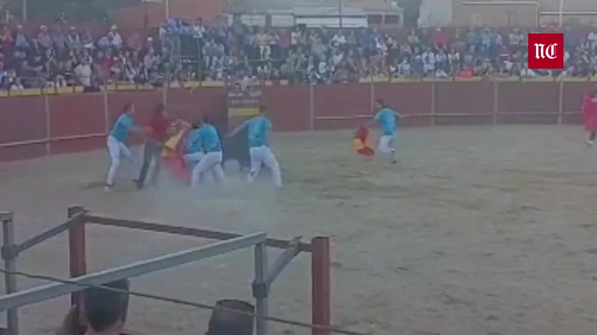 Cogida en el concurso de cortes de Castronuño